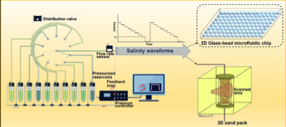 Soil remediation by salinity waves