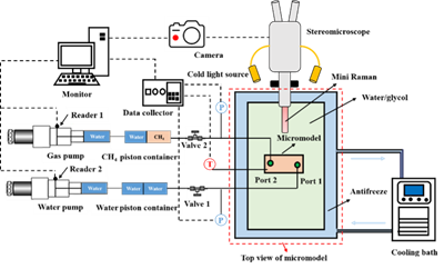 A schematic of hydrate cell with microscope and Raman setup.